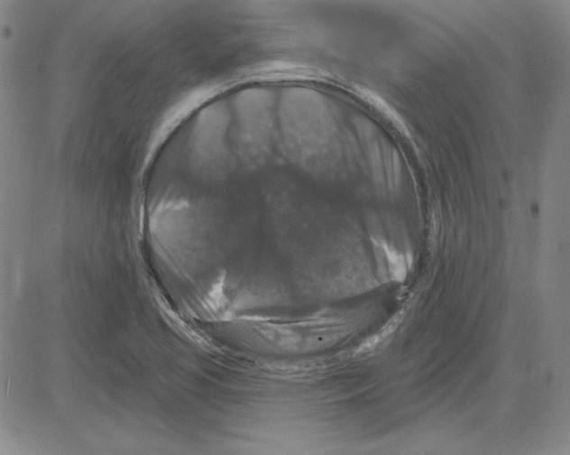 X0000080101413200701051253