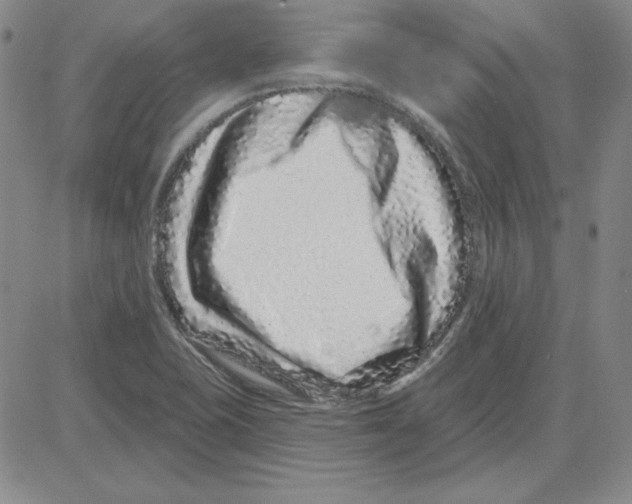 X0000080101415200701051253