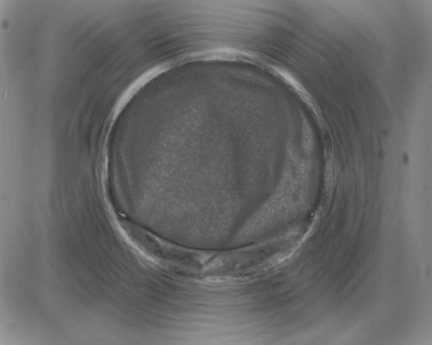 X0000080101418200701051253