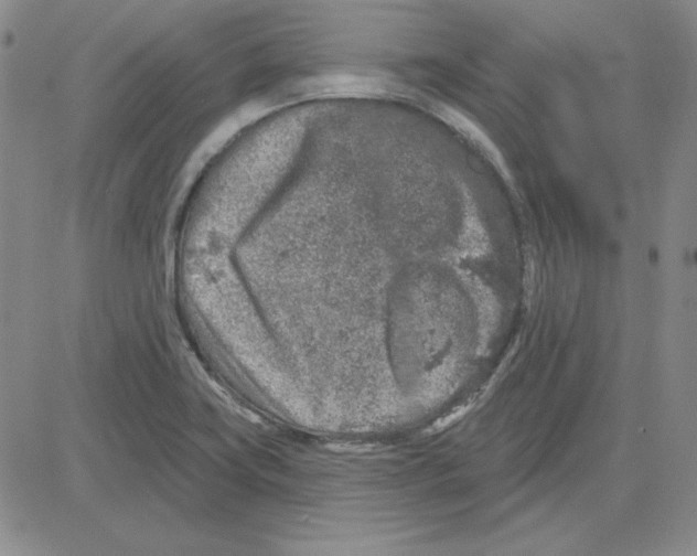 X0000080101419200701051253