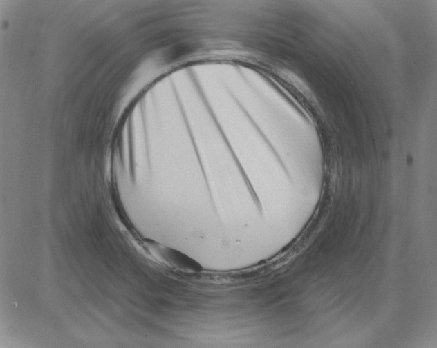 X0000080101420200701051253