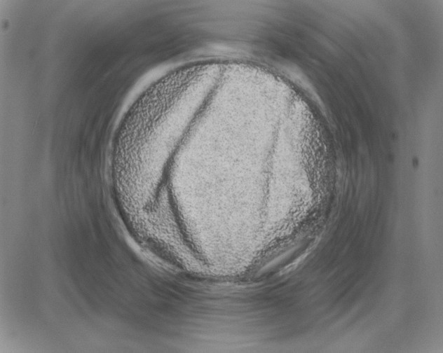 X0000080101421200701051253