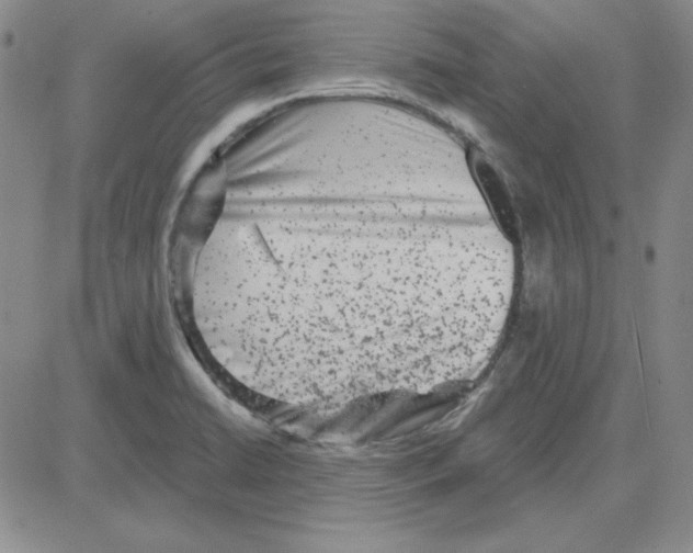 X0000080101422200701051253