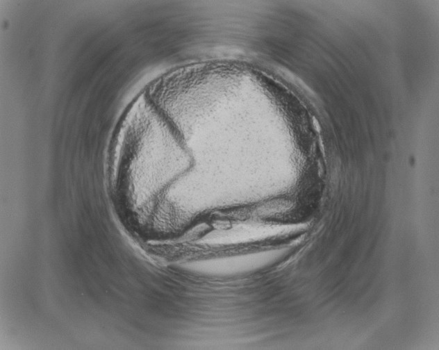 X0000080101423200701051253