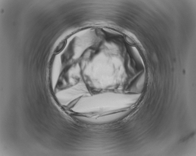 X0000080101424200701051253