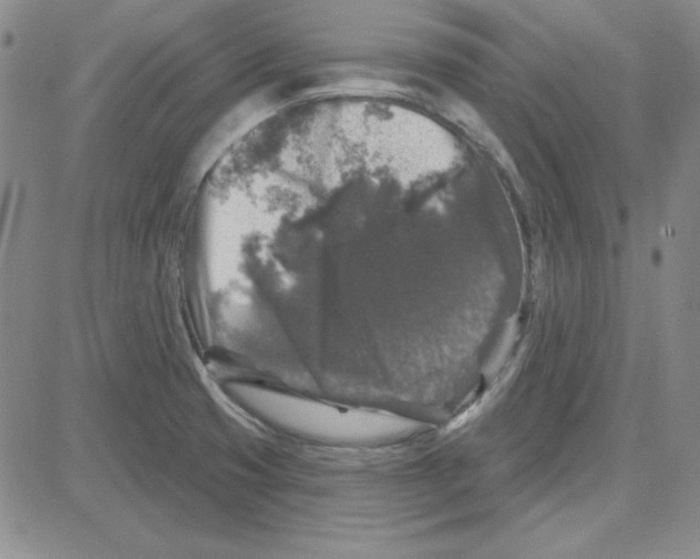 X0000080101425200701051253