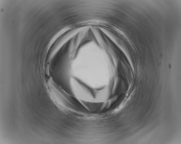 X0000080101426200701051253