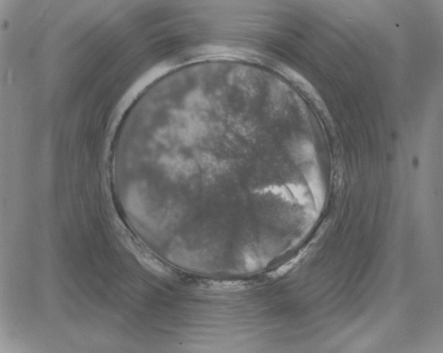 X0000080101427200701051253