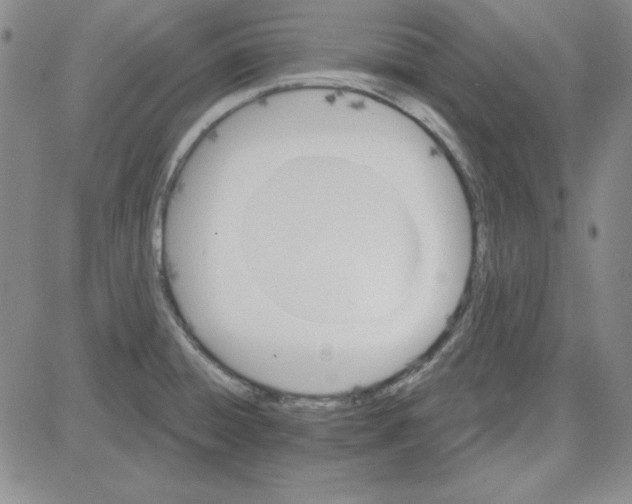 X0000080101428200701051253