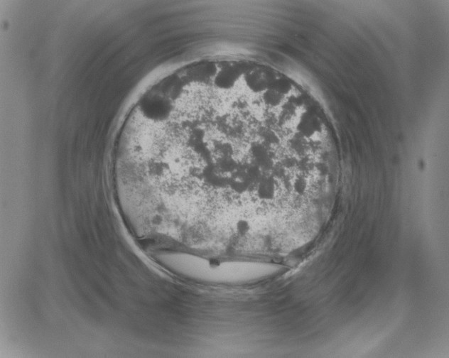 X0000080101429200701051253