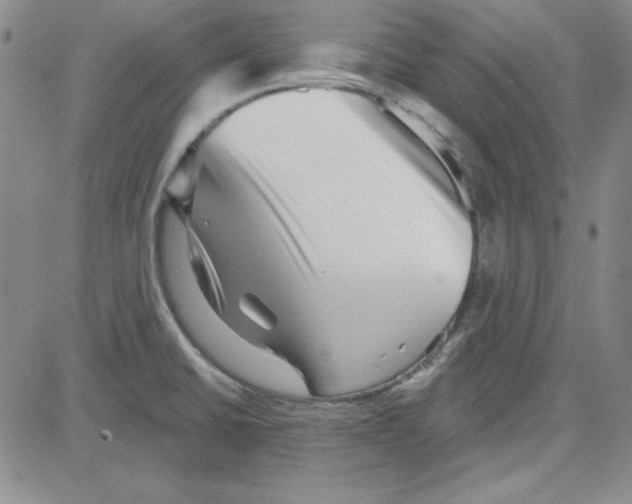 X0000080101430200701051253