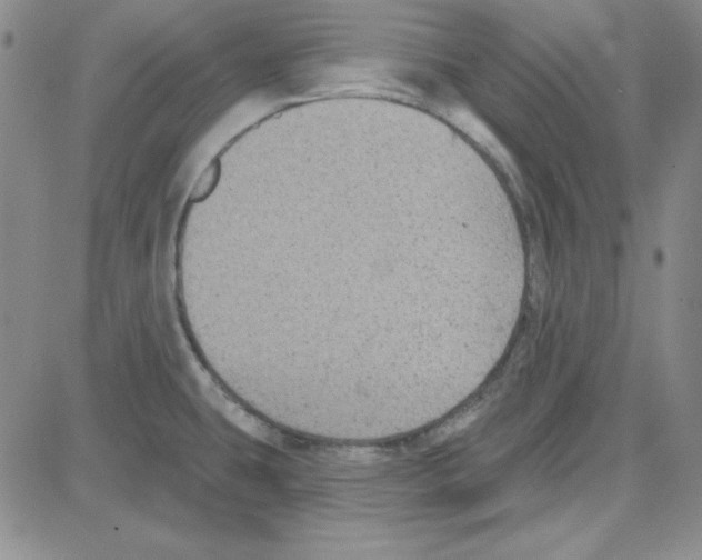 X0000080101431200701051253