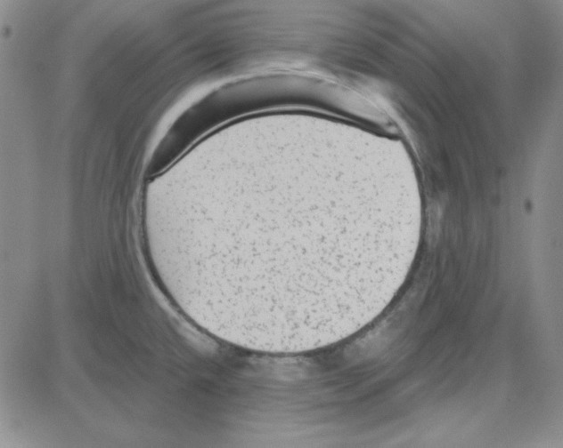 X0000080101432200701051253