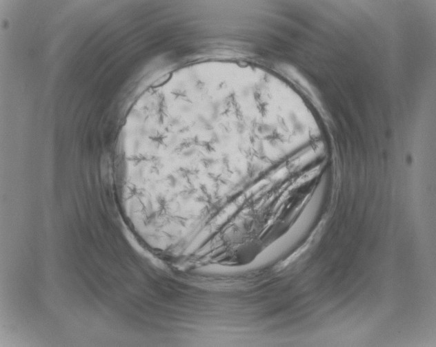 X0000080101433200701051253