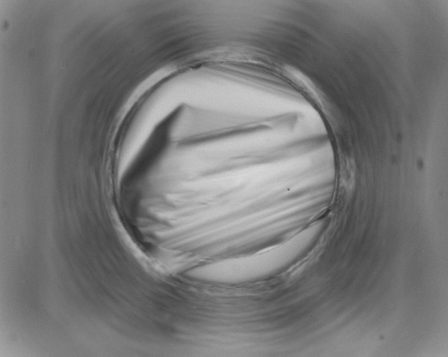 X0000080101434200701051254