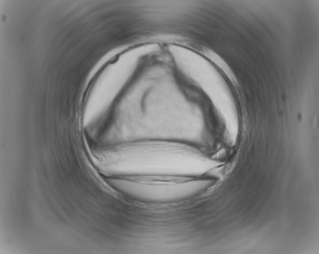 X0000080101436200701051254