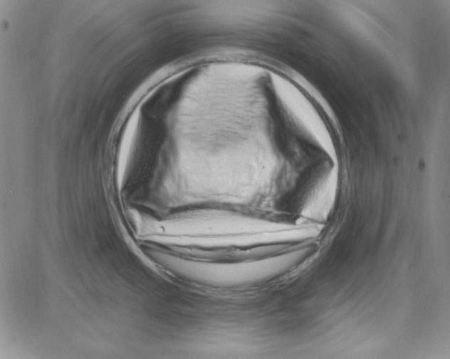 X0000080101437200701051254