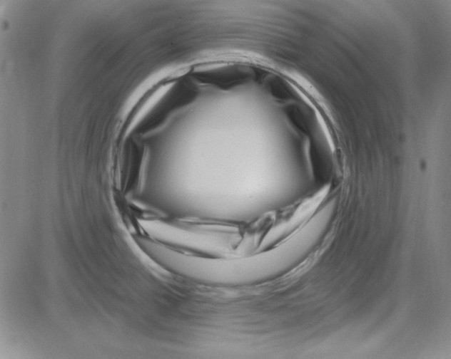 X0000080101438200701051254