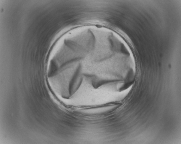 X0000080101439200701051254