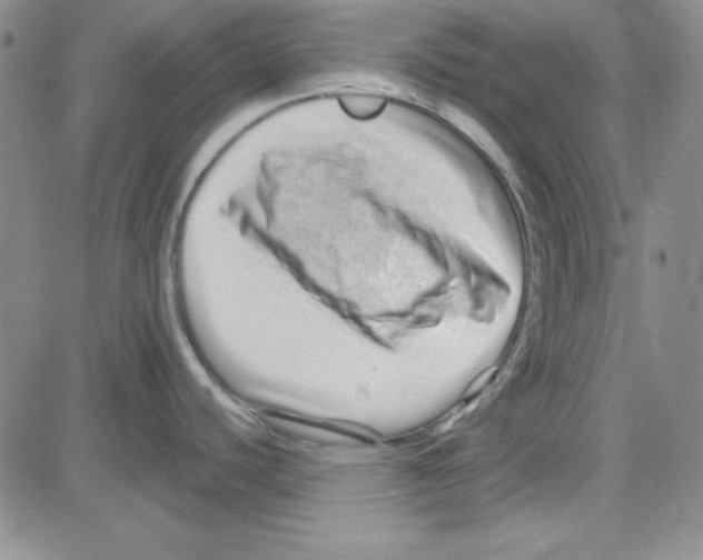 X0000080101440200701051254