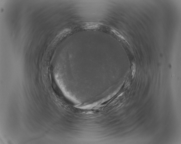 X0000080101441200701051253