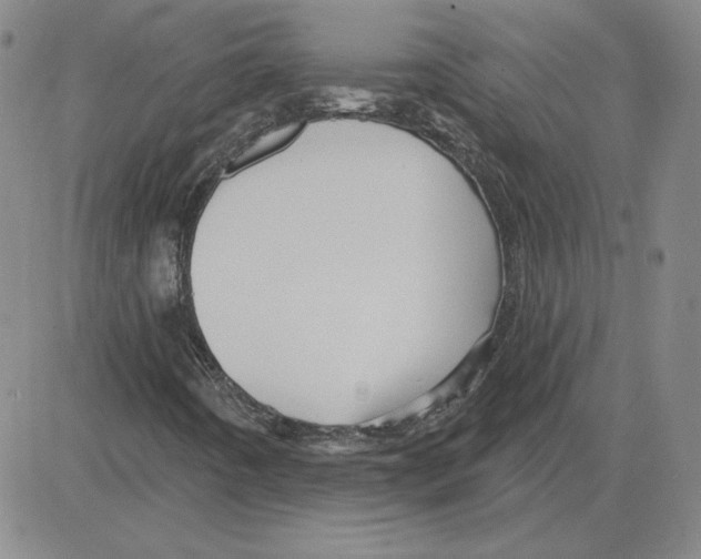 X0000080101442200701051253