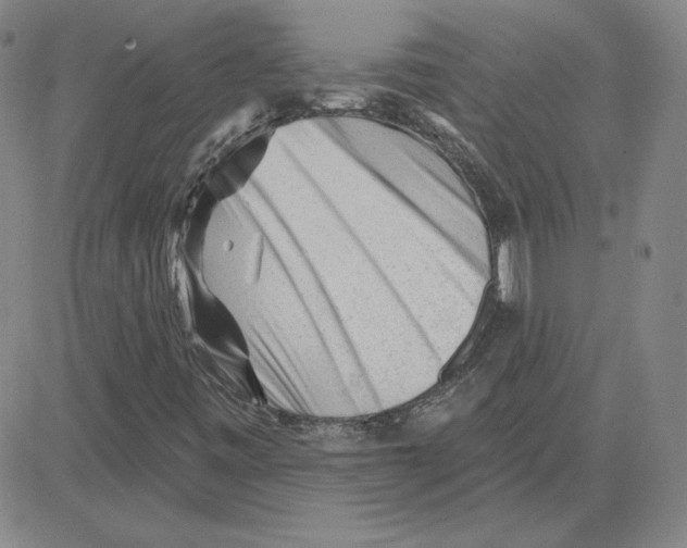 X0000080101443200701051253