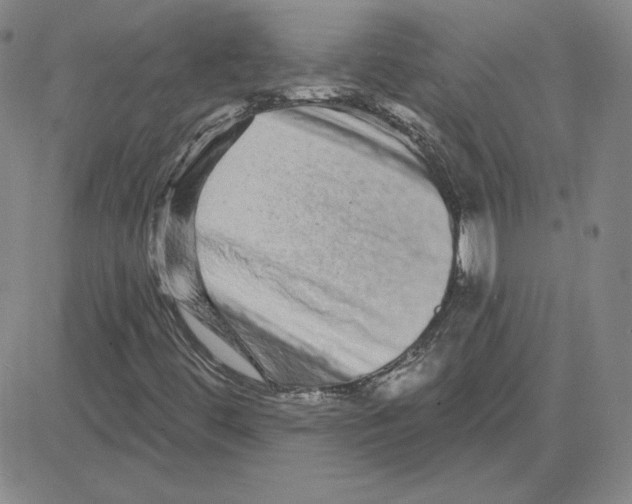 X0000080101444200701051253