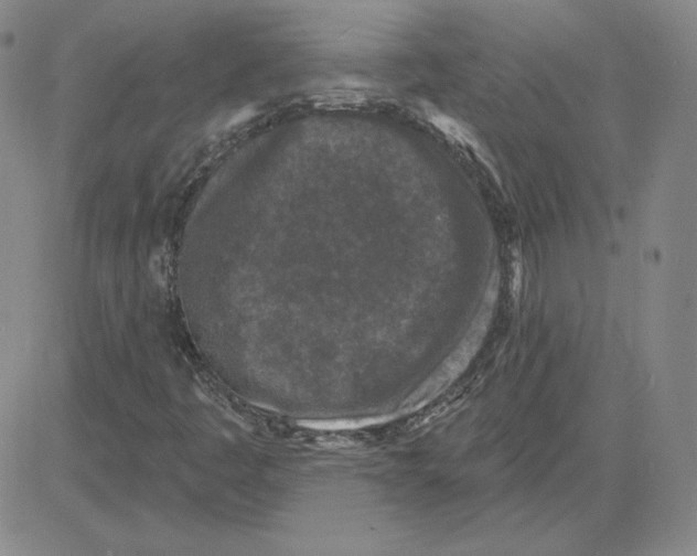 X0000080101445200701051253