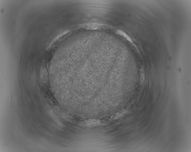 X0000080101446200701051253