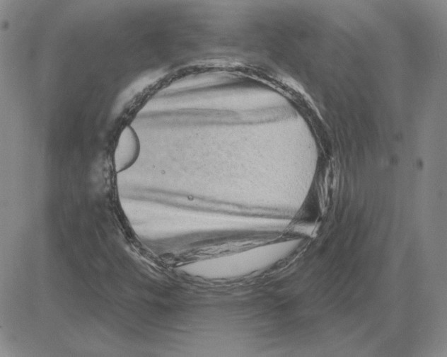 X0000080101448200701051253