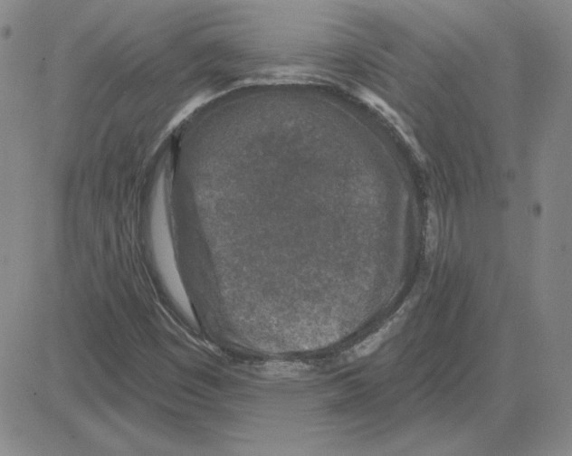 X0000080101449200701051253