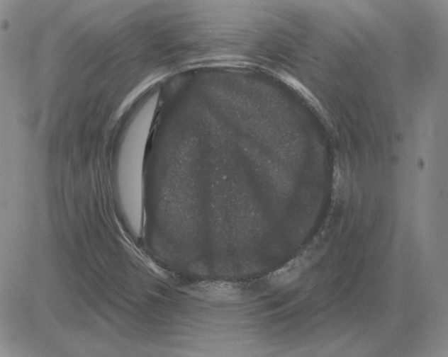 X0000080101450200701051253