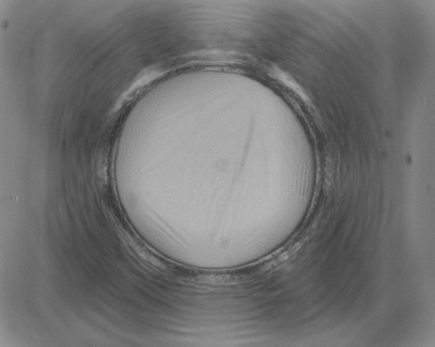 X0000080101451200701051253