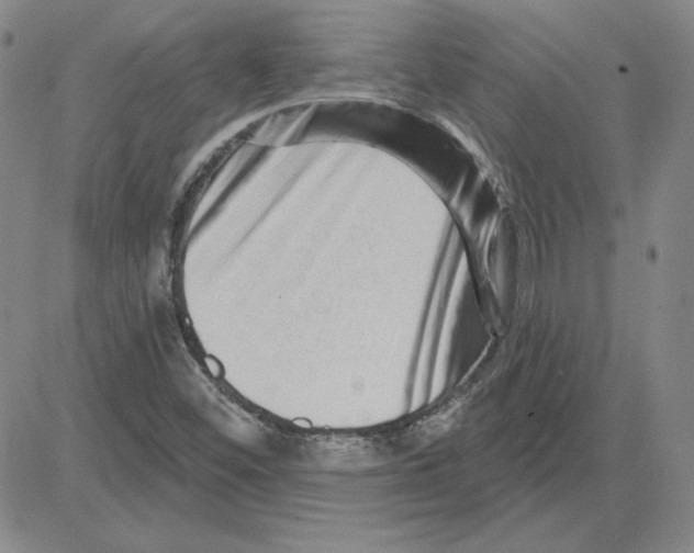 X0000080101452200701051253