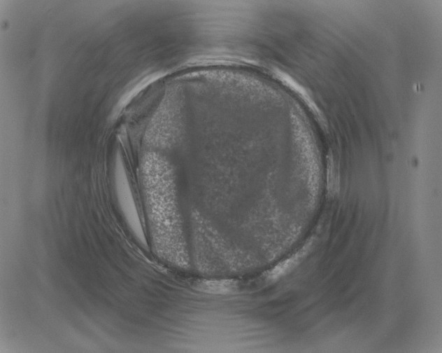 X0000080101453200701051253