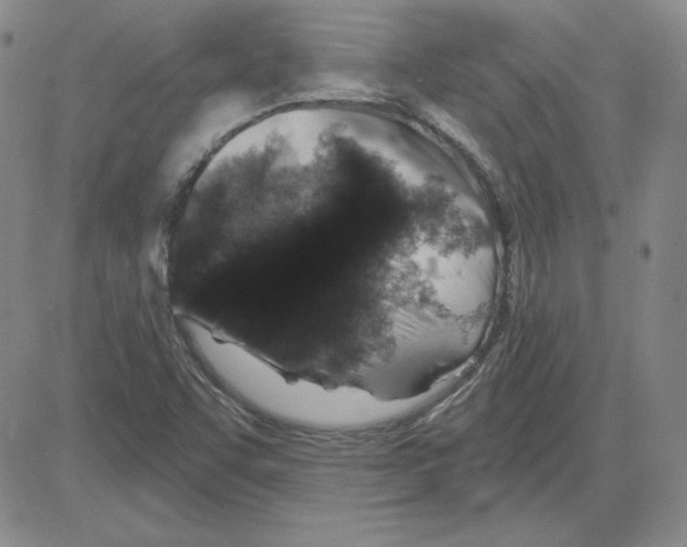 X0000080101455200701051253