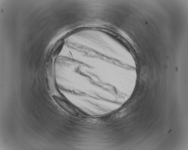 X0000080101456200701051253