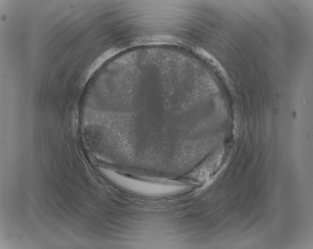 X0000080101457200701051253