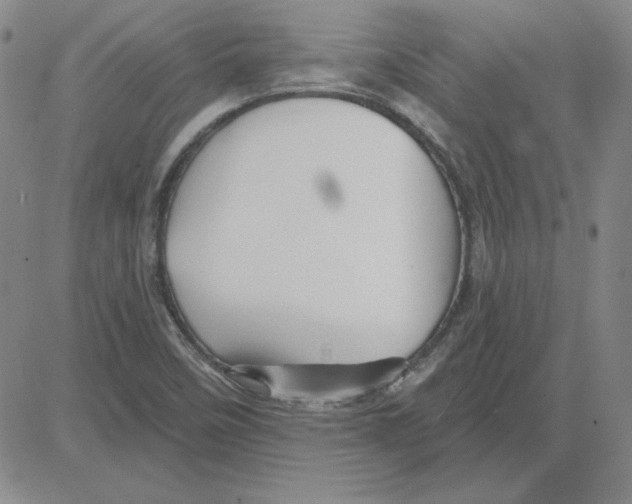 X0000080101458200701051253