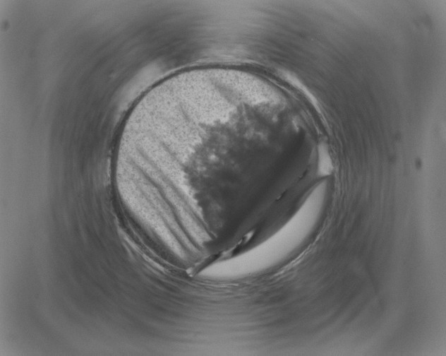 X0000080101459200701051253