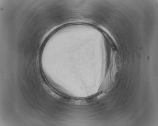 X0000080101460200701051253