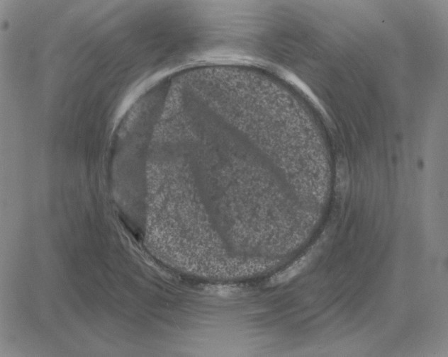 X0000080101461200701051253