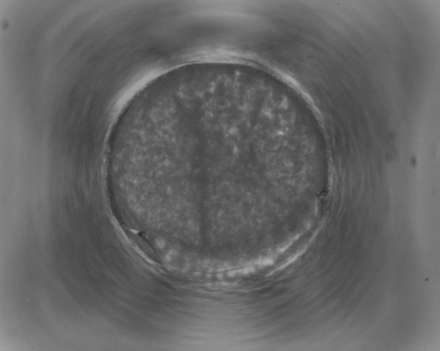 X0000080101463200701051252