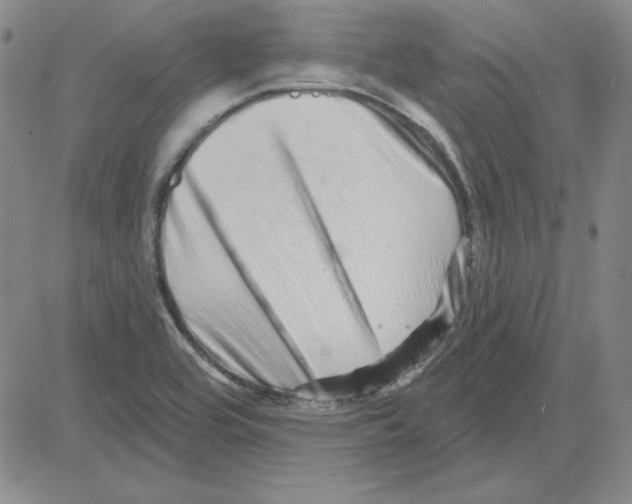 X0000080101464200701051252