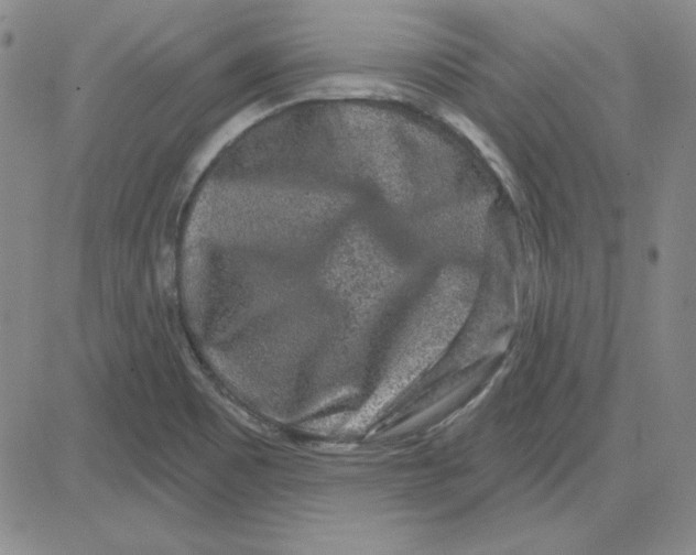 X0000080101465200701051252