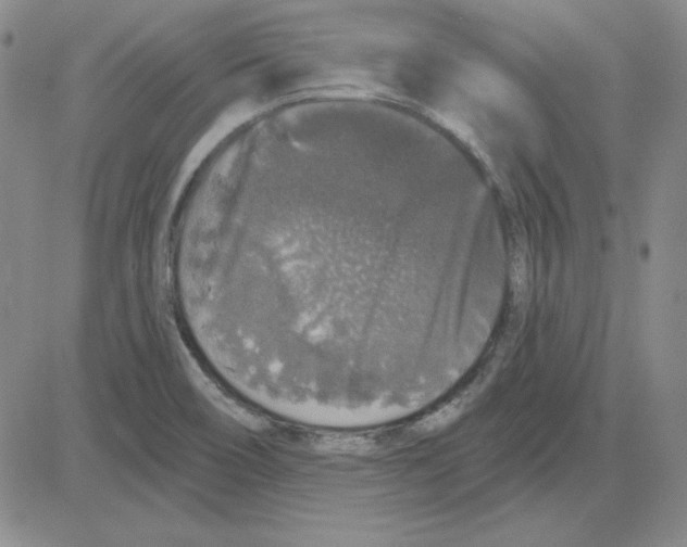 X0000080101466200701051252