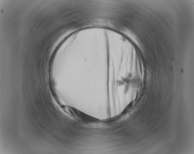 X0000080101468200701051252