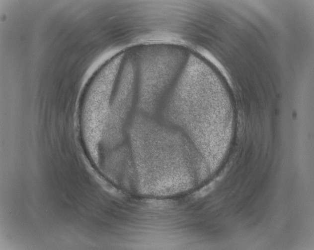 X0000080101469200701051252