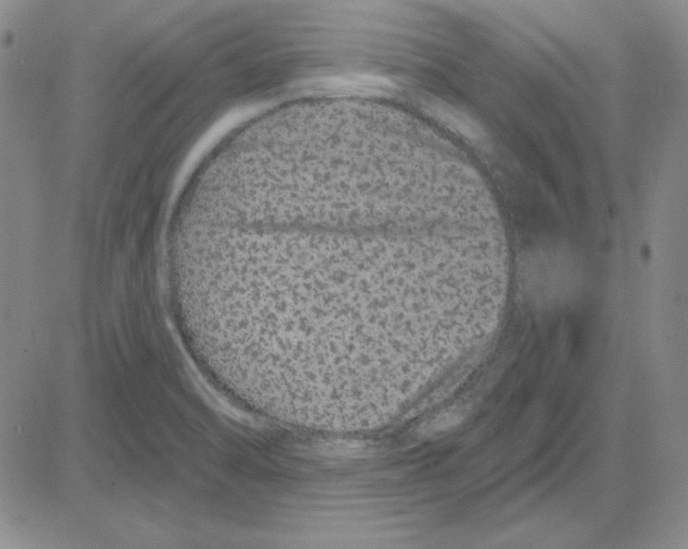 X0000080101470200701051252